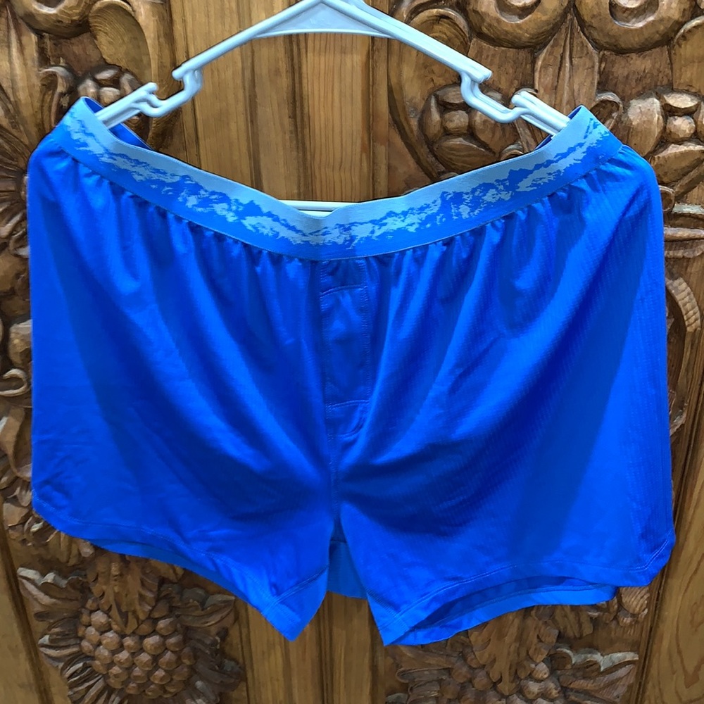 Look new! REI large blue “shorts”